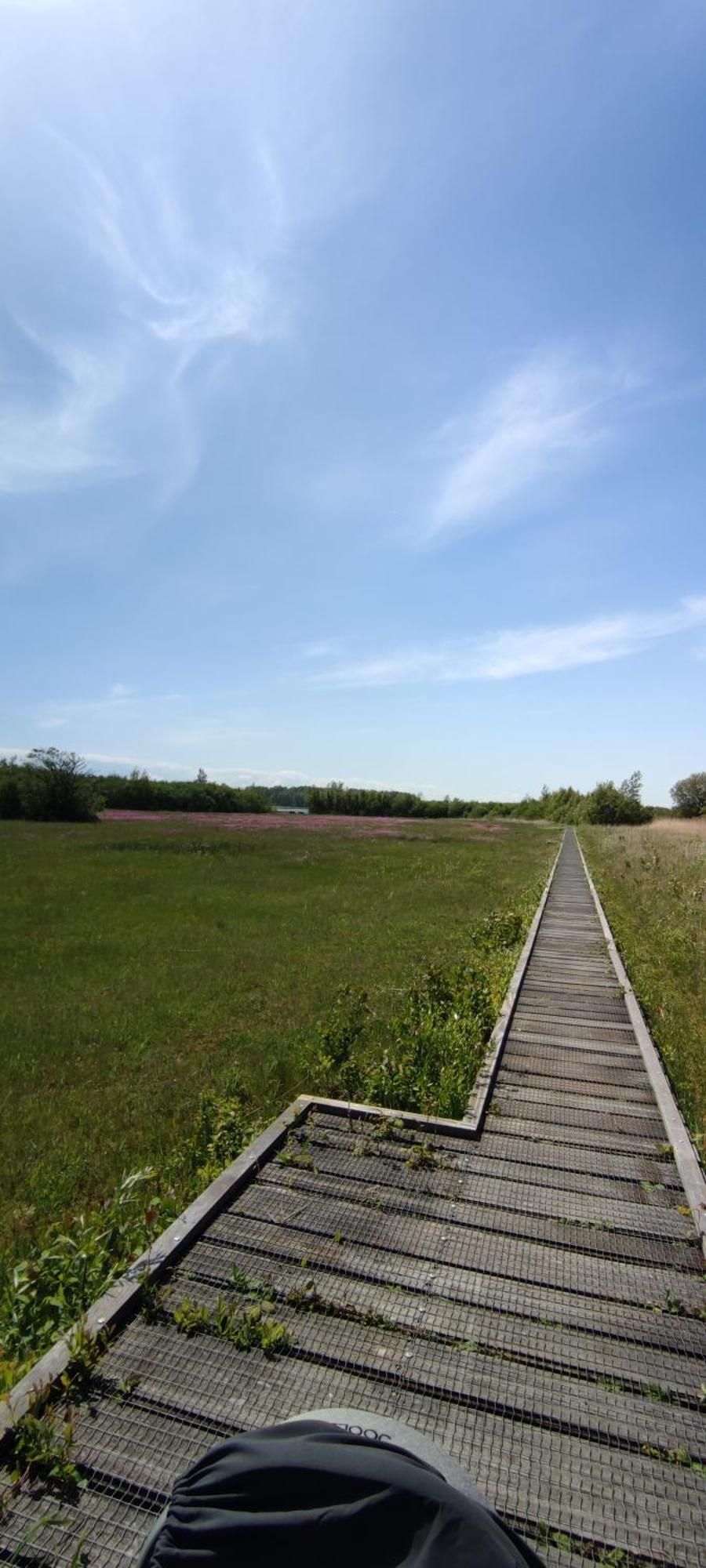 Mobilheim Herz Lauwersoog - Chalet Robbengat المظهر الخارجي الصورة